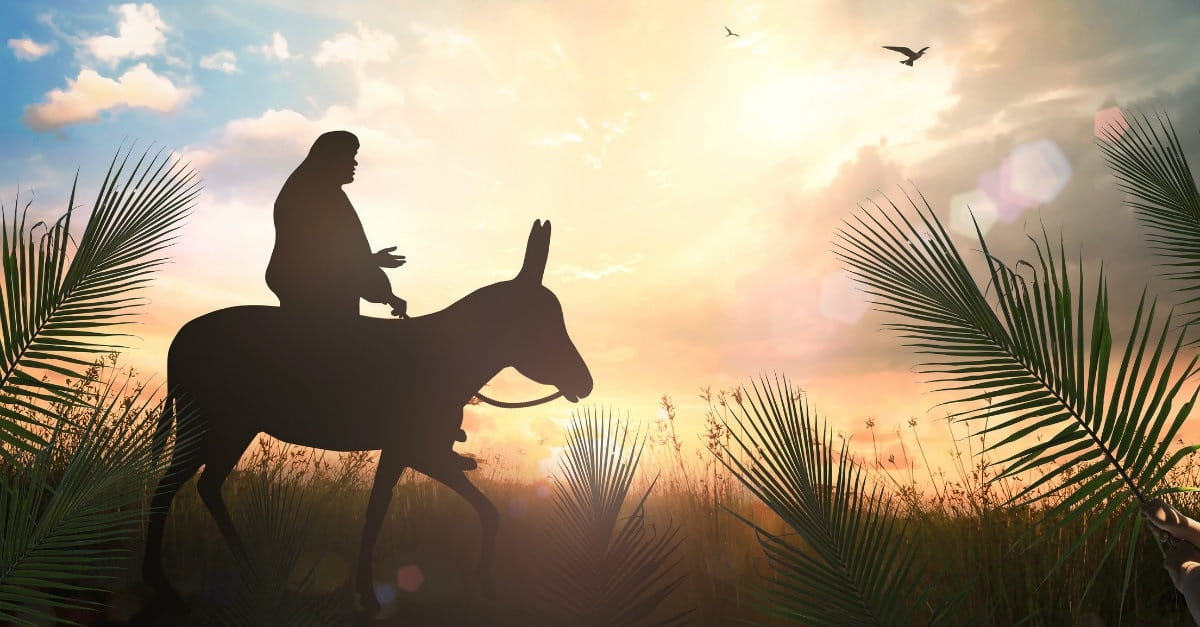 Jesus Rode A Donkey And Why Many Christians Still Can t Get The Joke 